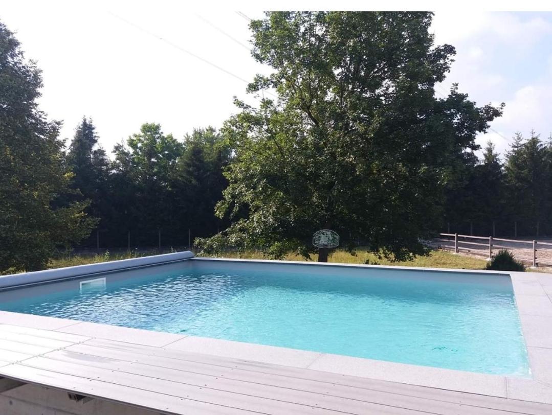 Ferienwohnung Repos Rouge-Plaisir Au Milieu Des Chevaux Kembs Exterior foto