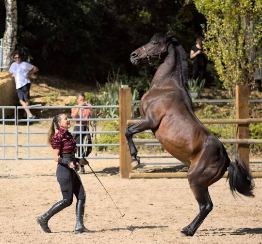 Ferienwohnung Repos Rouge-Plaisir Au Milieu Des Chevaux Kembs Exterior foto