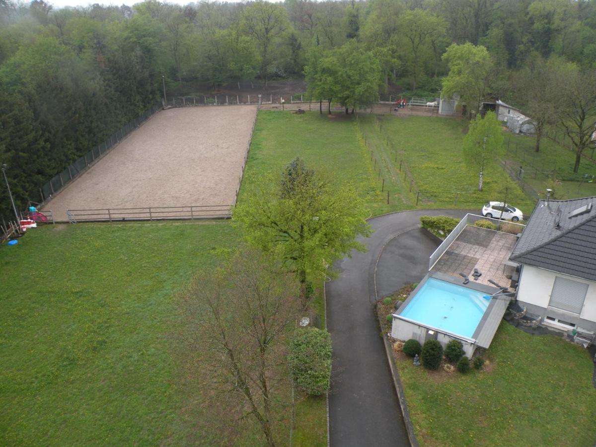 Ferienwohnung Repos Rouge-Plaisir Au Milieu Des Chevaux Kembs Exterior foto
